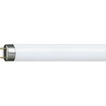 TL-buis Philips Fluorescentielamp (TL) TL-buis Philips Fluorescentielamp (TL)